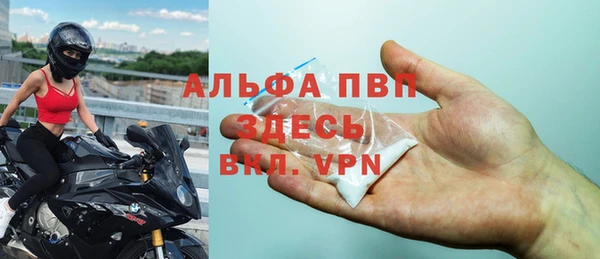 стаф Алзамай