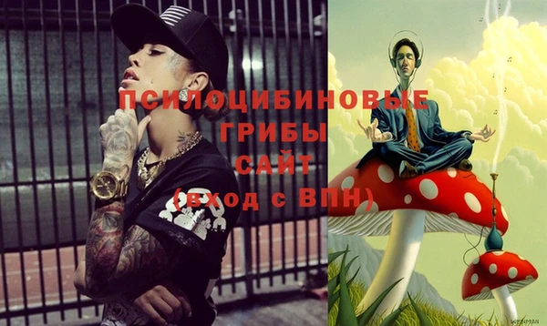 стаф Алзамай
