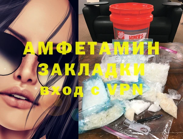 стаф Алзамай