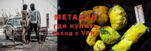 стаф Алзамай